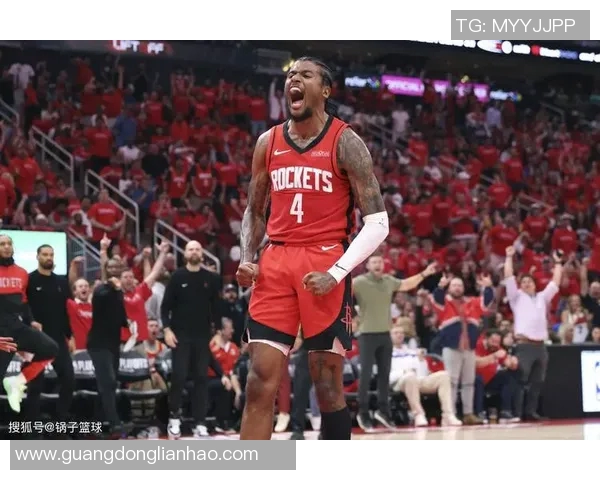 火箭队主场告负猛龙，总决赛失利，未来可期