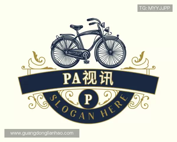 认识PA视讯